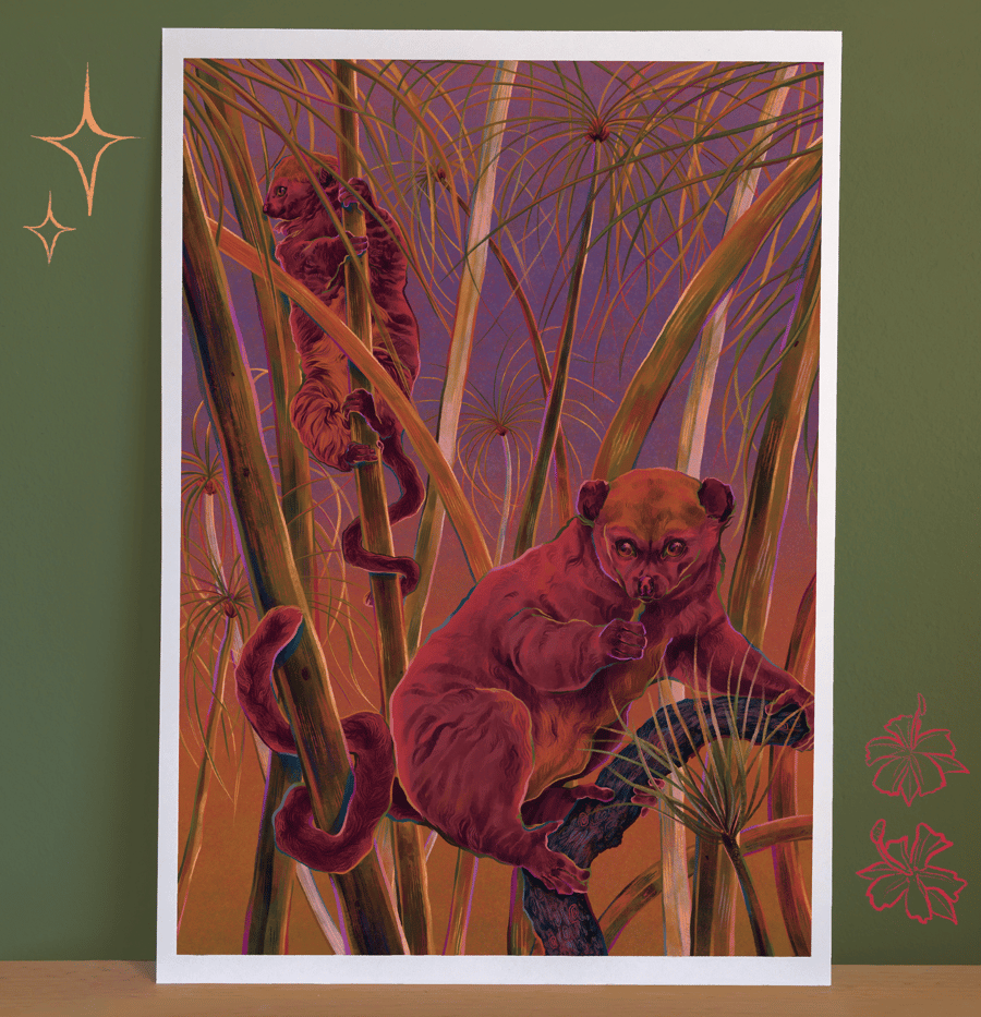 The Alaotra Reed Lemur - A4 Recycled Illustration Art Print (Fundraiser)