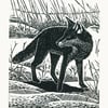 Fox In The Snow linocut print