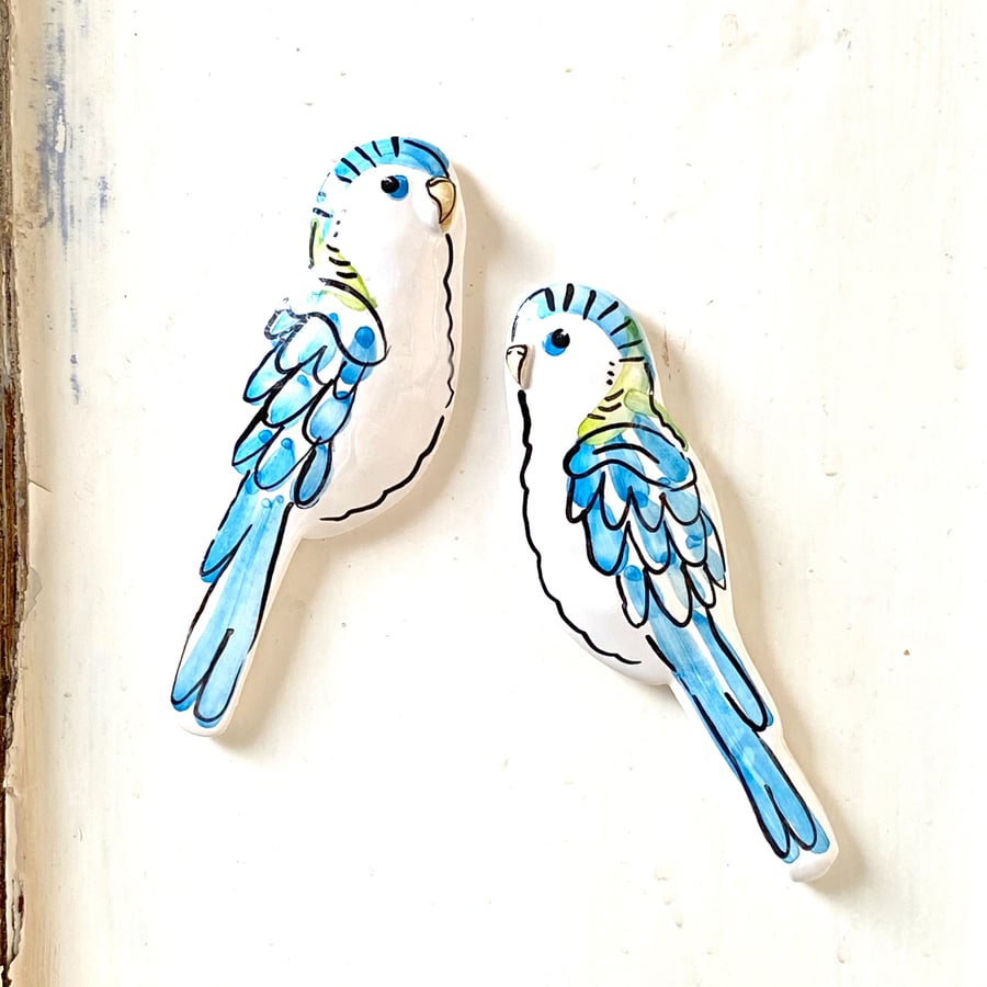 Budgie Wall art decorations