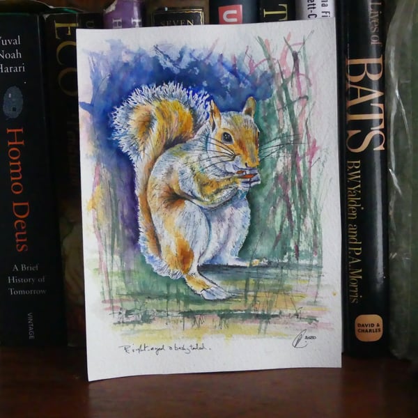 Squirrel Original Modern Fine Art  Painting Wildlife Watercolour