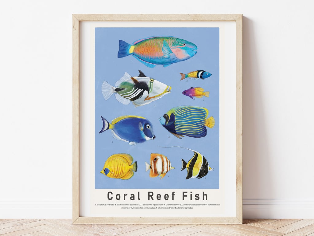Coral Reef Fish Art Print