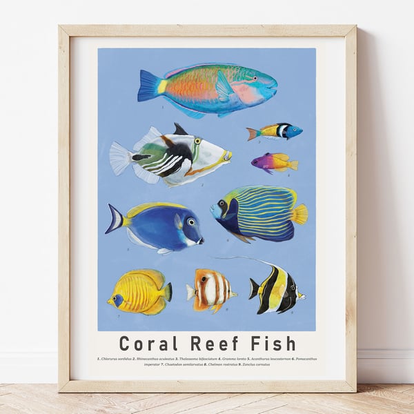 Coral Reef Fish Art Print