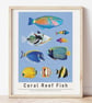 Coral Reef Fish Art Print - Image 1