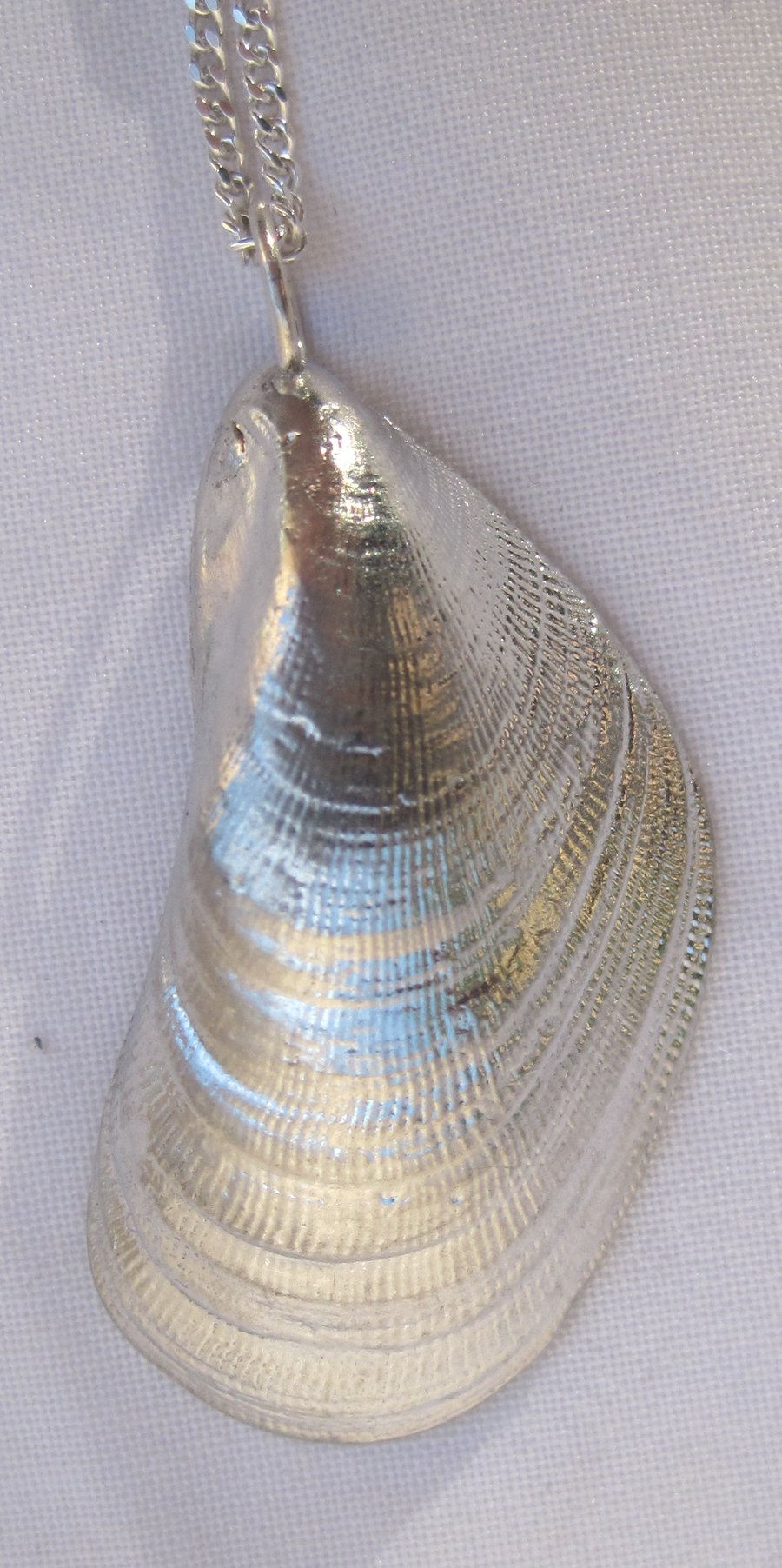 Large textured mussel pendant necklace with sterling silver chain