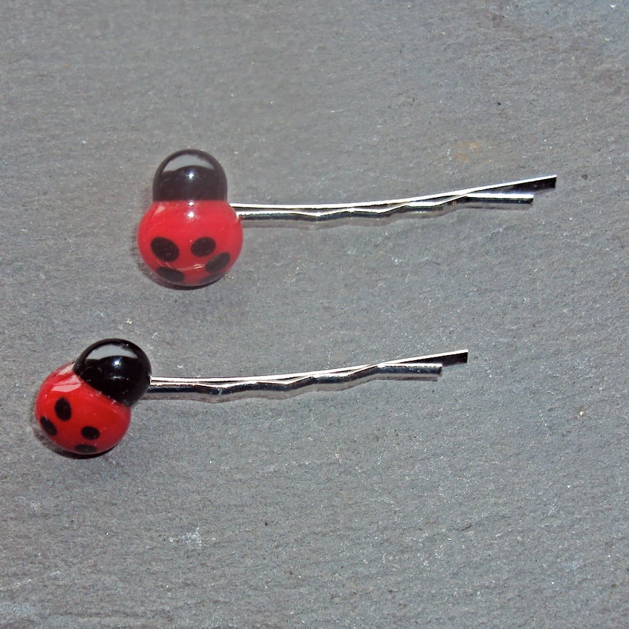 Ladybird bobby pins