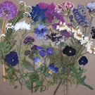 Pressed Flowers for Cake Decorating