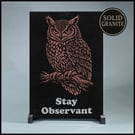 Stay Observant … Nature Wisdom (Owl)