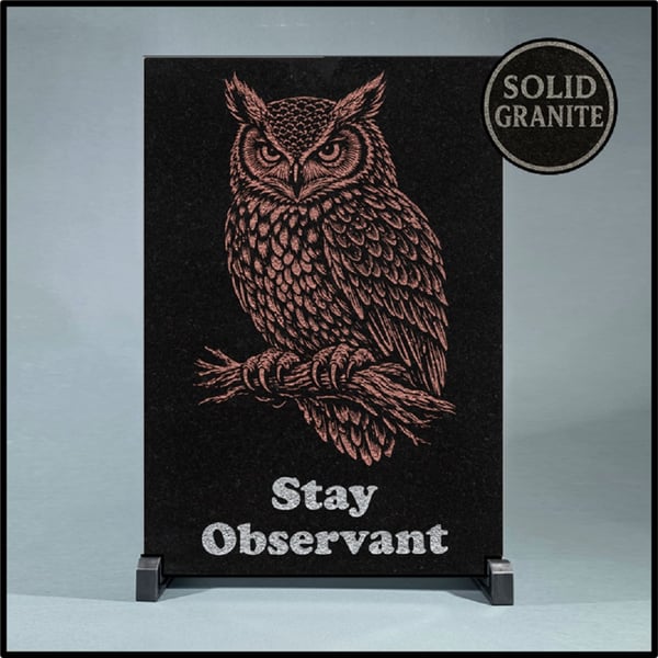 Stay Observant … Nature Wisdom (Owl)