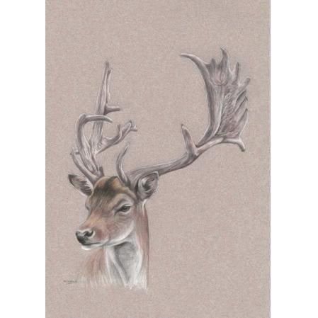 Deer Stag Fine Art Print