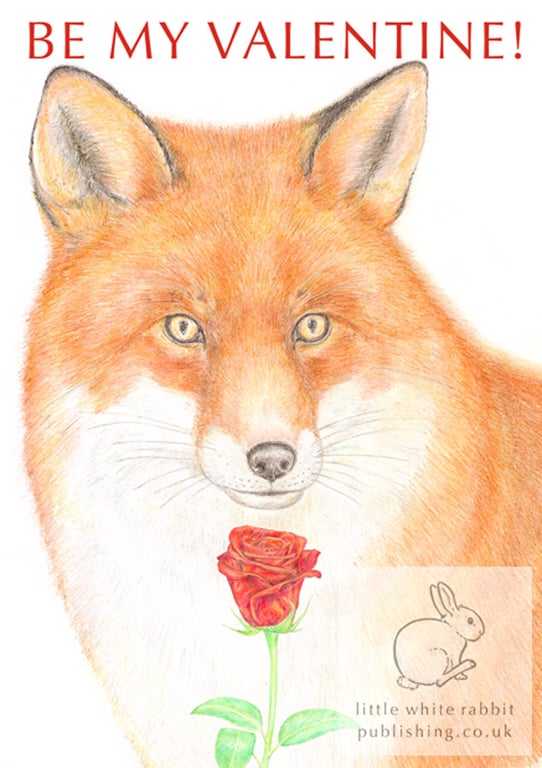 Fox - Valentine Card