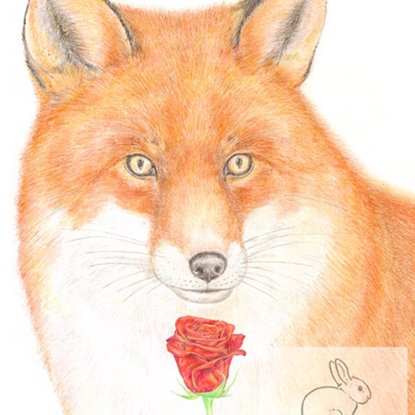 Fox - Valentine Card