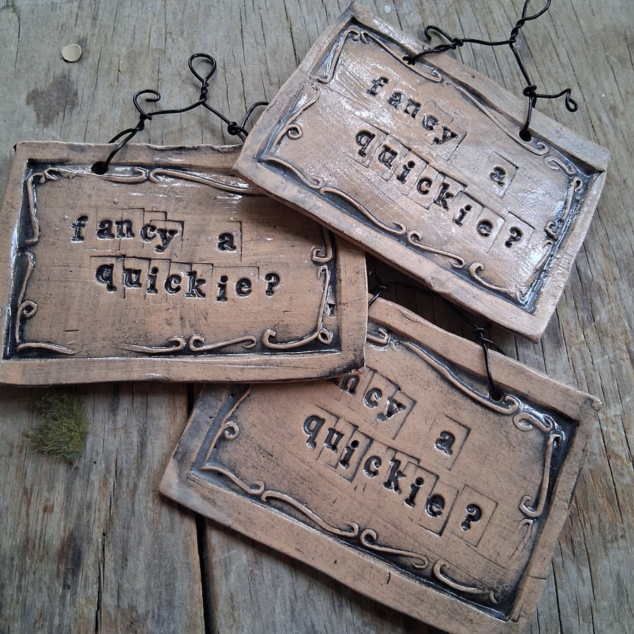 CLEARANCE! rustic ceramic pottery sign- fancy a quickie?