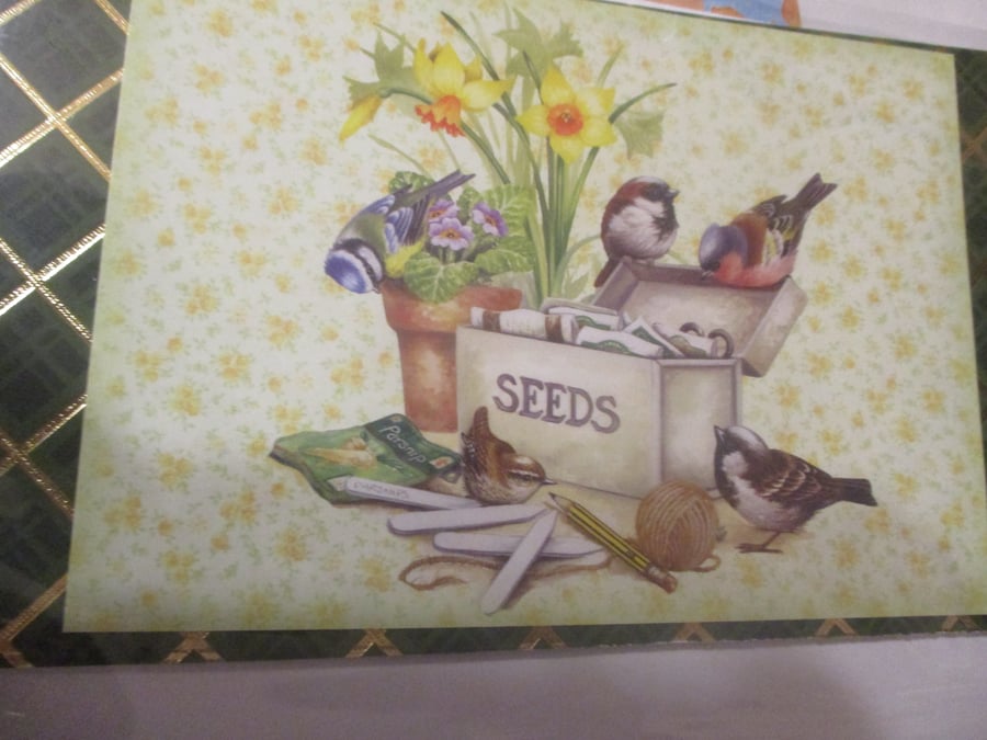 Birds on a Seeds Container Card