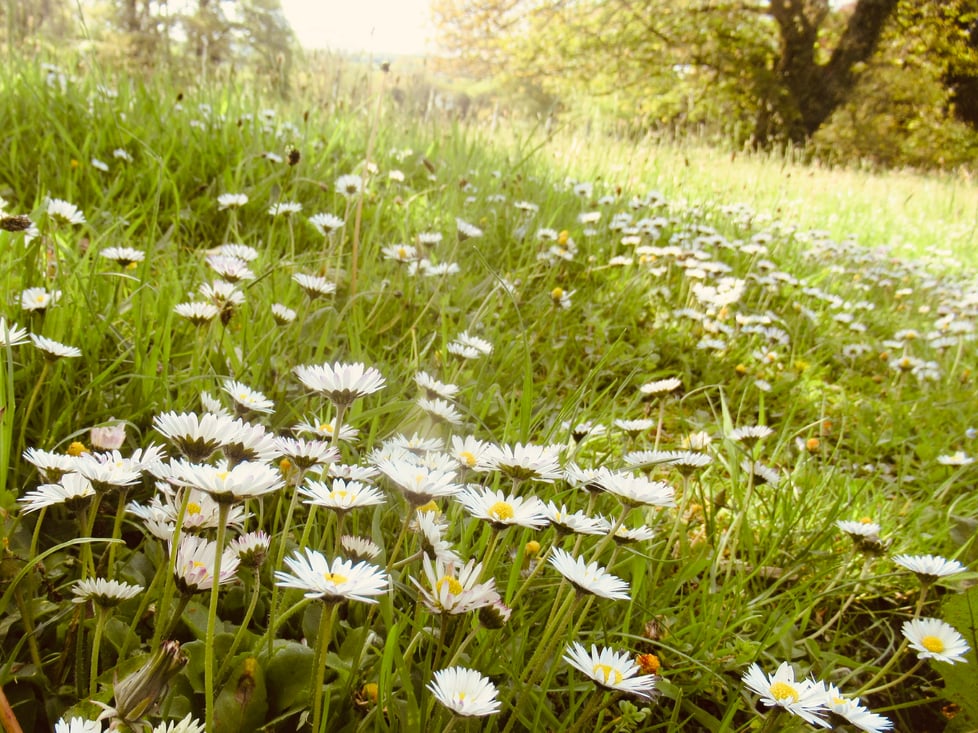 Tiny Productions Jewellery