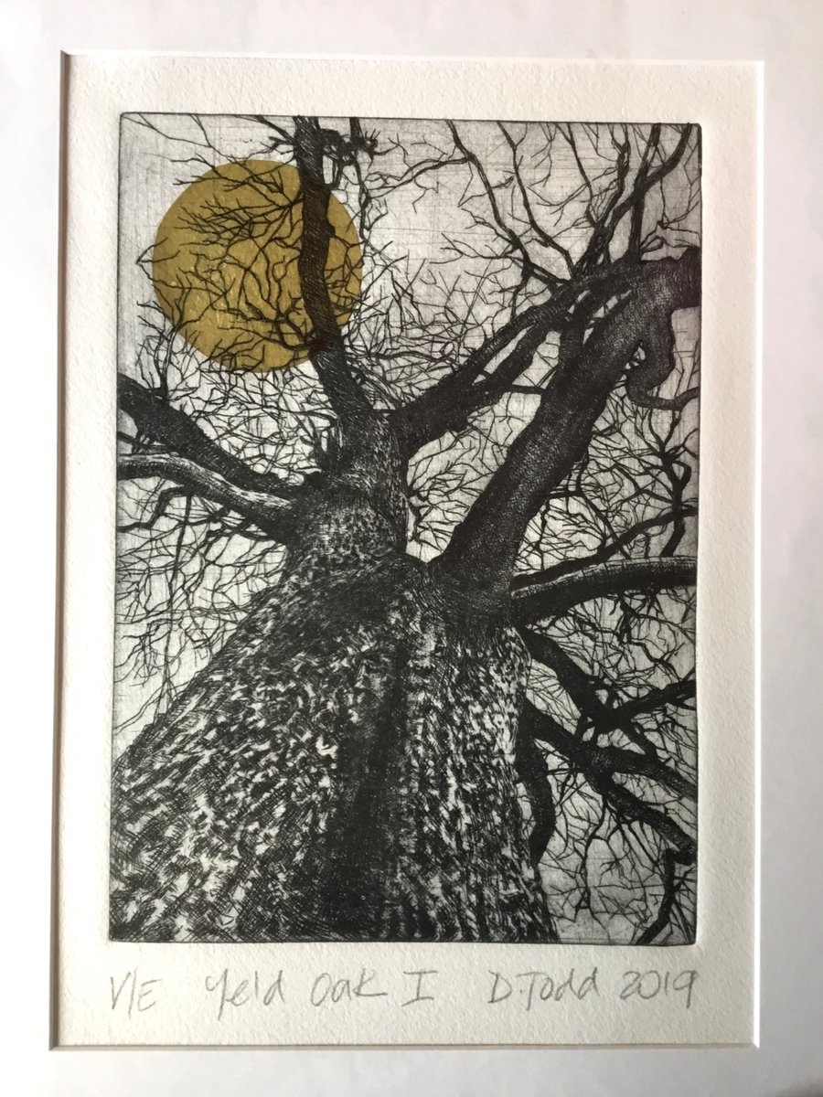'Yeld Oak 1' Varied Edition with Golden Sun, original Hand Pulled Print