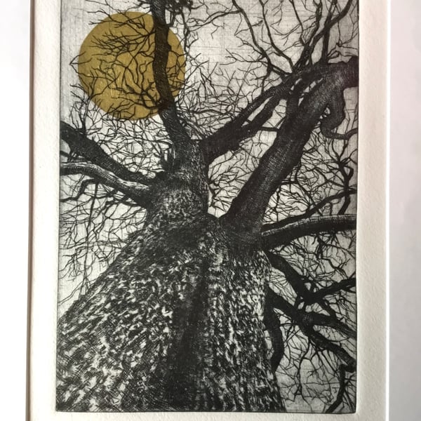 'Yeld Oak 1' Varied Edition with Golden Sun, original Hand Pulled Print