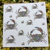 Coastal Britain Multiple Crabs Blank Card