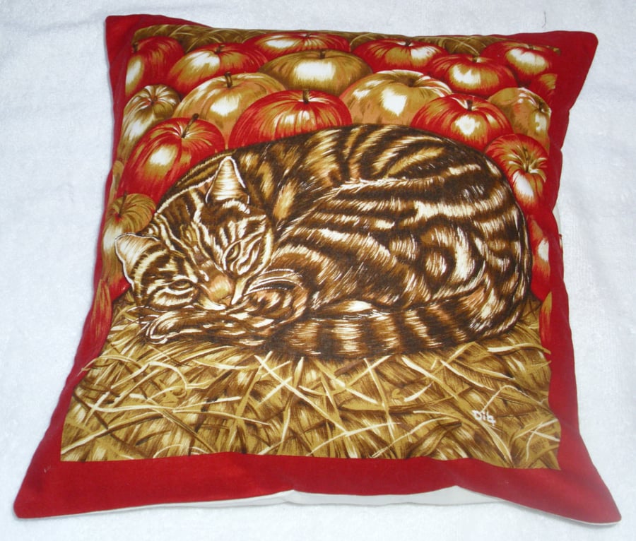 A brown tabby cat curled up in the straw with apples cushion