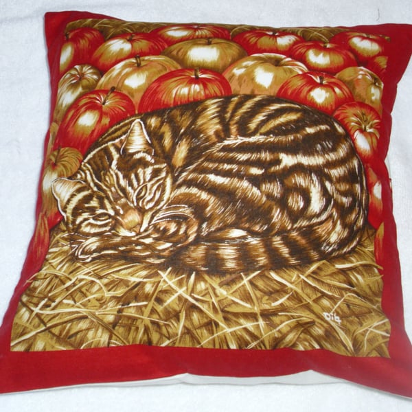 A brown tabby cat curled up in the straw with apples cushion