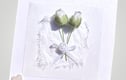 THANK YOU CARDS