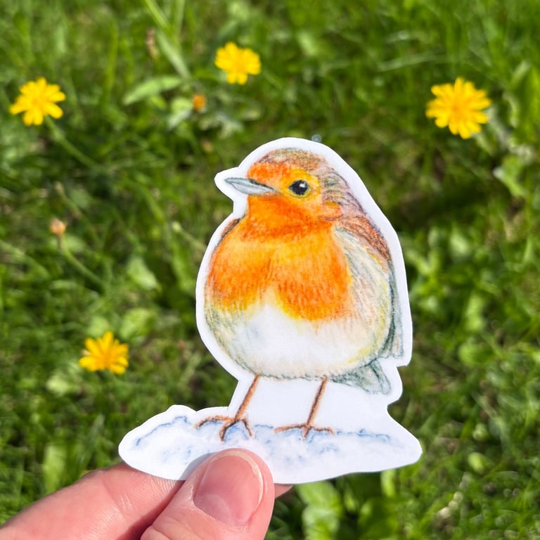 Robin Sticker
