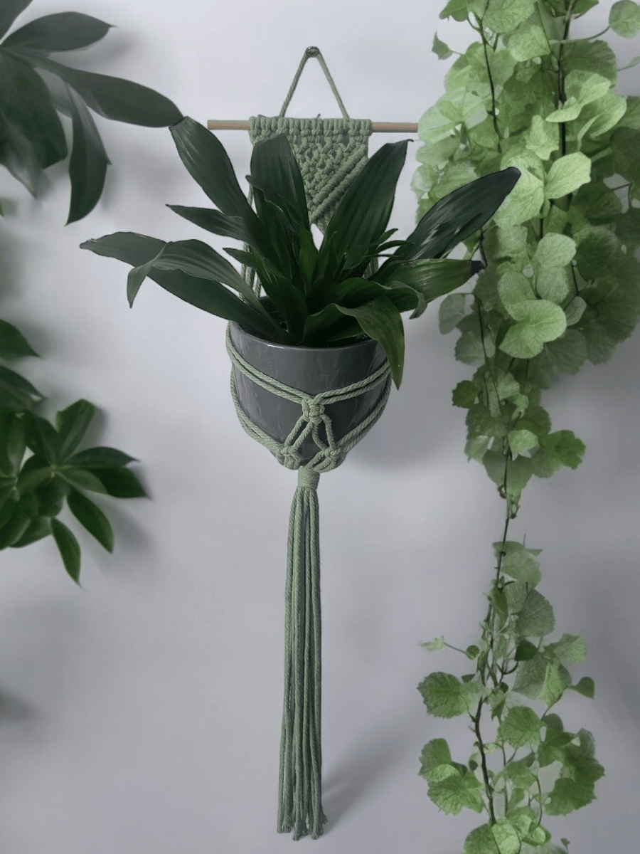 Macrame Wall plant hanger, set of 2