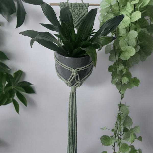 Macrame Wall plant hanger, set of 2