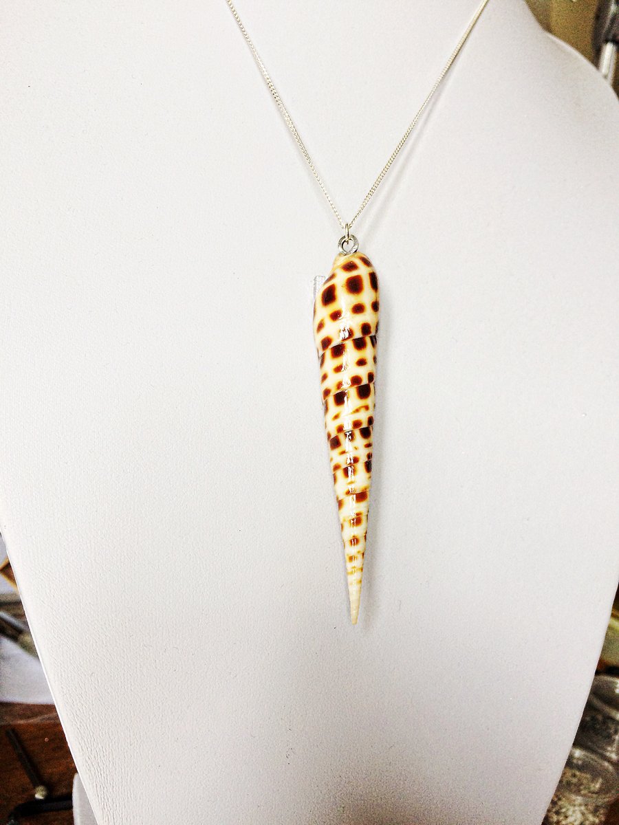 Beautiful Sleek Cream and Brown Terebra Sea Shell Pendant Memorial Necklace