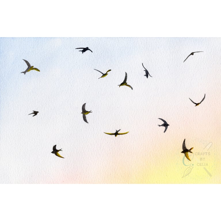 Swifts In The Sky Original Watercolour Painting 26 x 18 cm