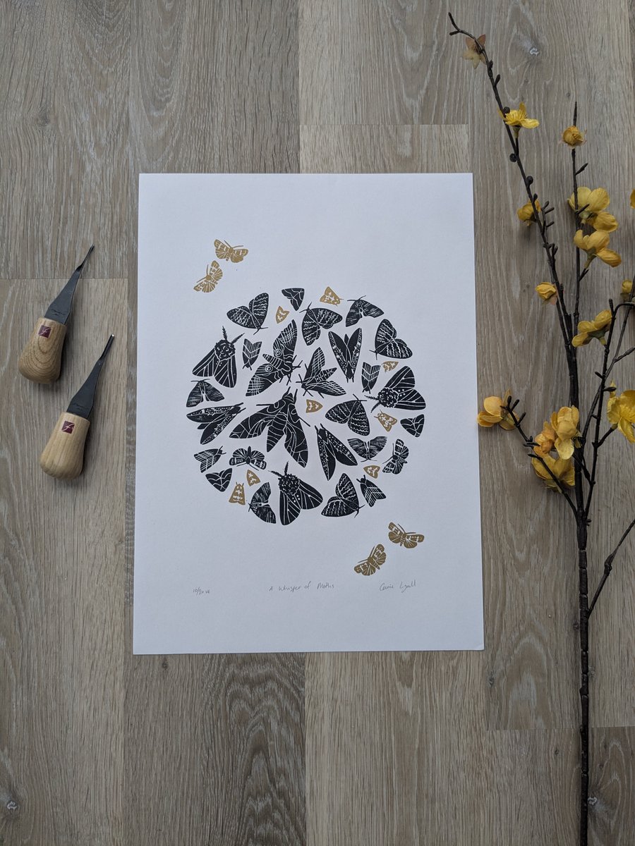 British Moth Collection Print, Limited Edition Lepidoptera Linocut Print
