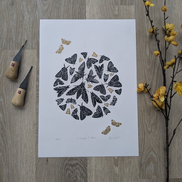 British Moth Collection Print, Limited Edition Lepidoptera Linocut Print
