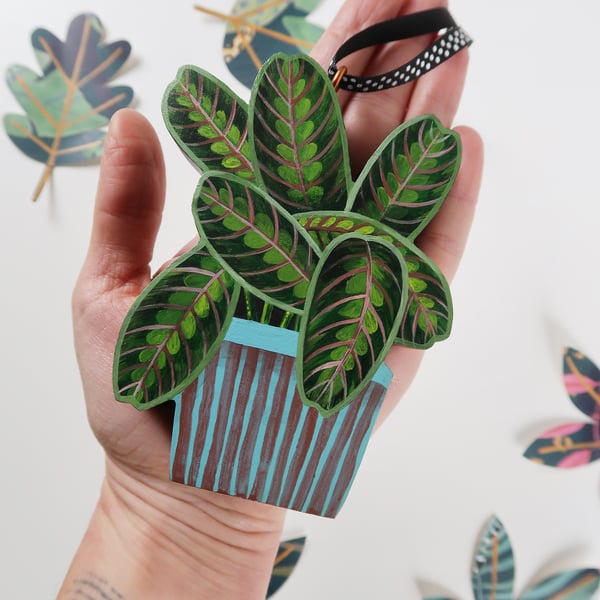 House plant Christmas tree decoration, Maranta Fascinator, Prayer Plant