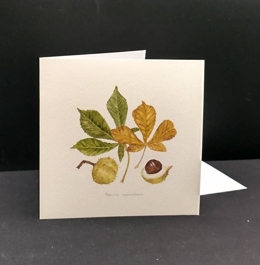 Horse chestnut greetings card