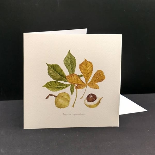 Horse chestnut greetings card