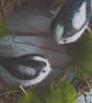 Indoor wreath decoration with needle felted birds . - Image 4