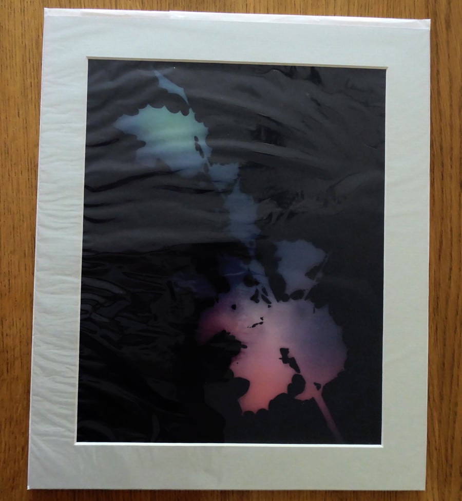 Holly II Print from Original Photogram - Sage mount to fit 10x12 inch frame 