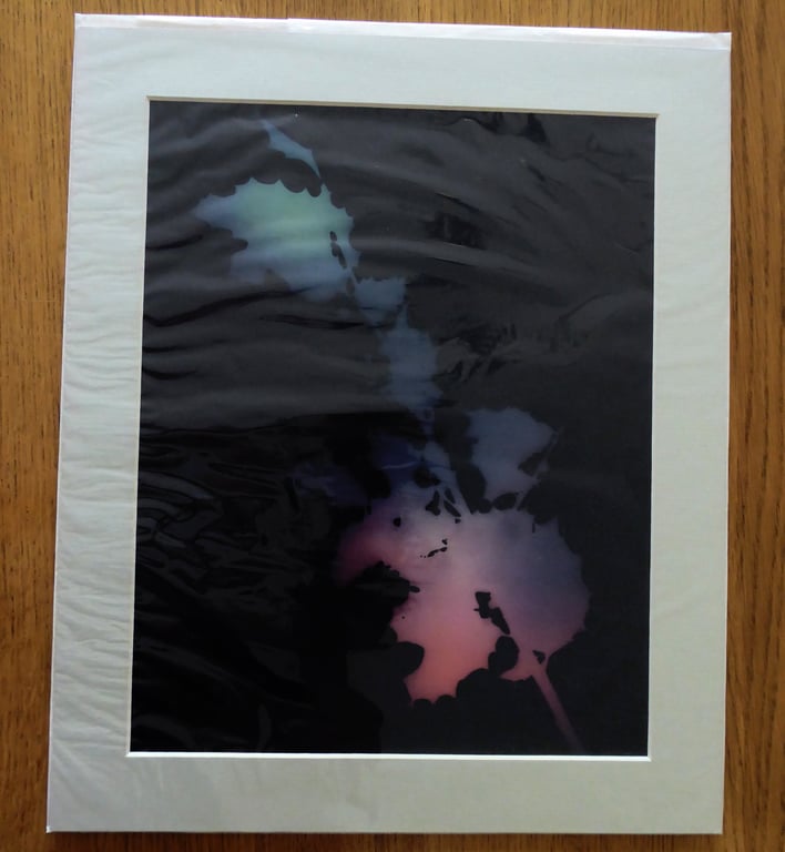 Holly II Print from Original Photogram - Sage mount to fit 10x12 inch frame 