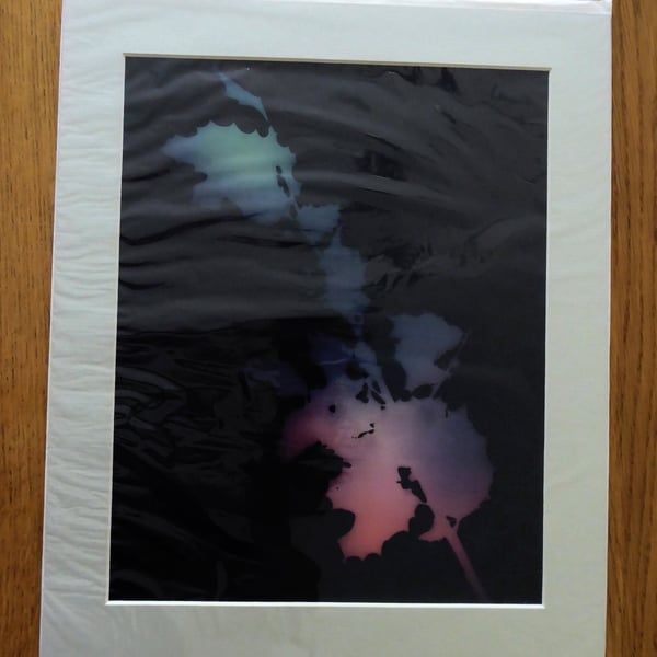 Holly II Print from Original Photogram - Sage mount to fit 10x12 inch frame 