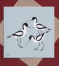 Coastal bird greetings cards - pack of 4 - Image 3