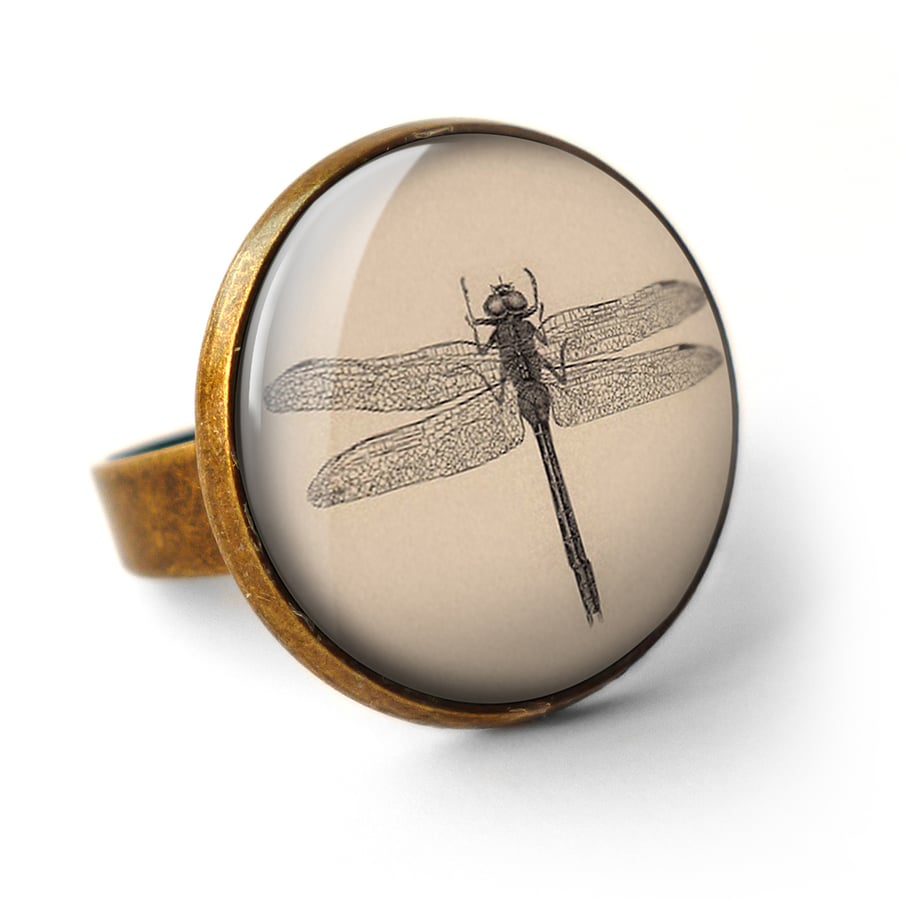 Vintage Dragonfly Ring (ER03)