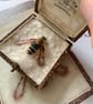 58b - Andrena congruens or Female Long-fringed Mining Bee - FIFTY BEES - Image 2