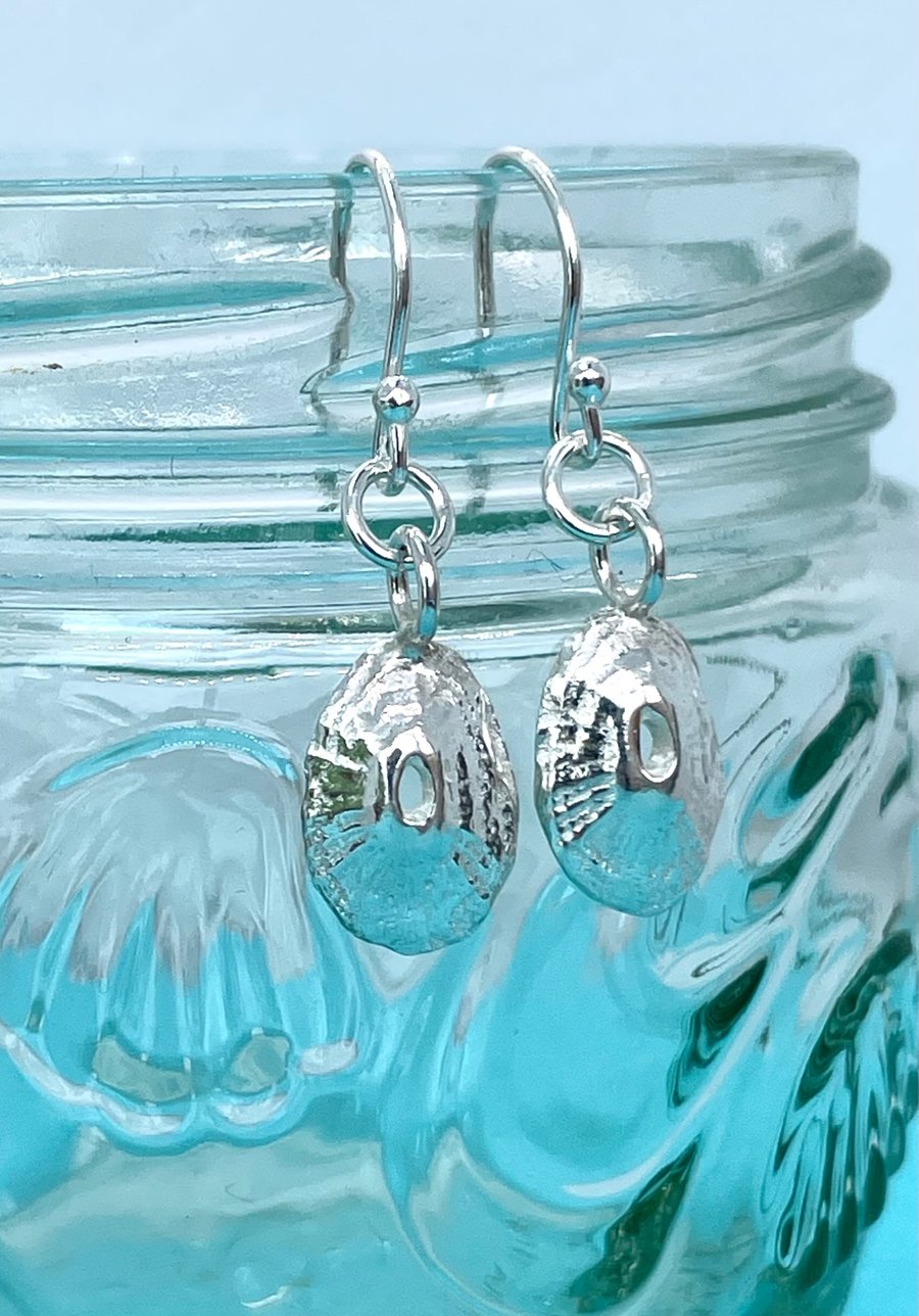 Sea shell earrings