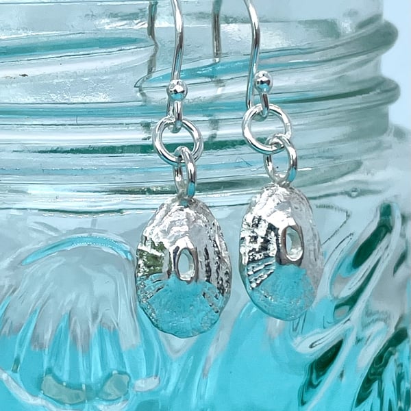 Sea shell earrings