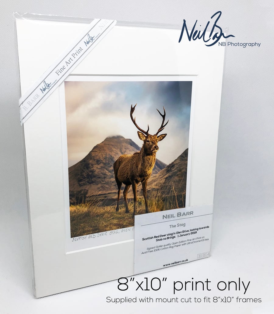 Scottish Highlands Red Deer Stag in Glen Etive - A5 (8" x 10") Unframed Print