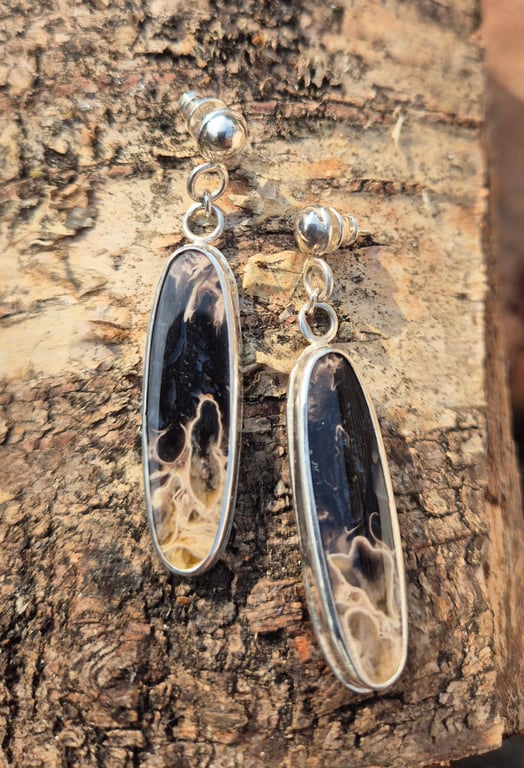 Silver earings with fossilised palm root