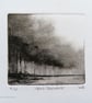 April Showers no.4 in a limited edition of 10 dry point mini prints