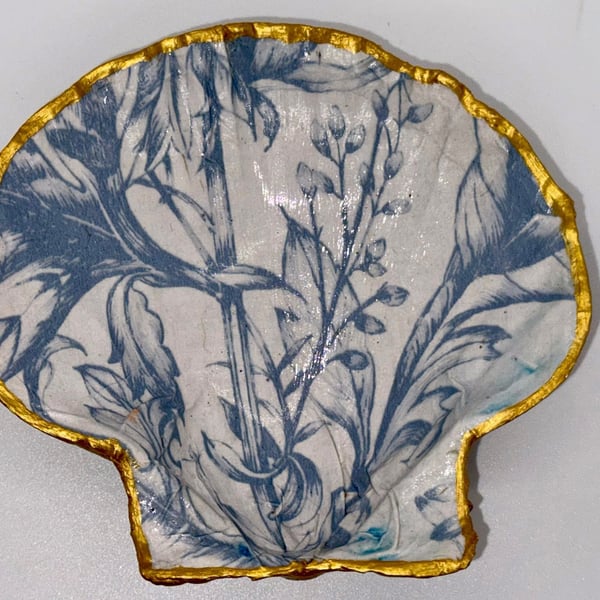 Scallop shell soap dish