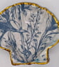 Scallop shell soap dish