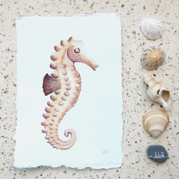 watercolour seahorse painting from the coastal collection series beach house art