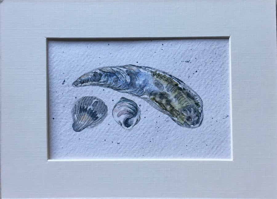 3 blue shells watercolour art 